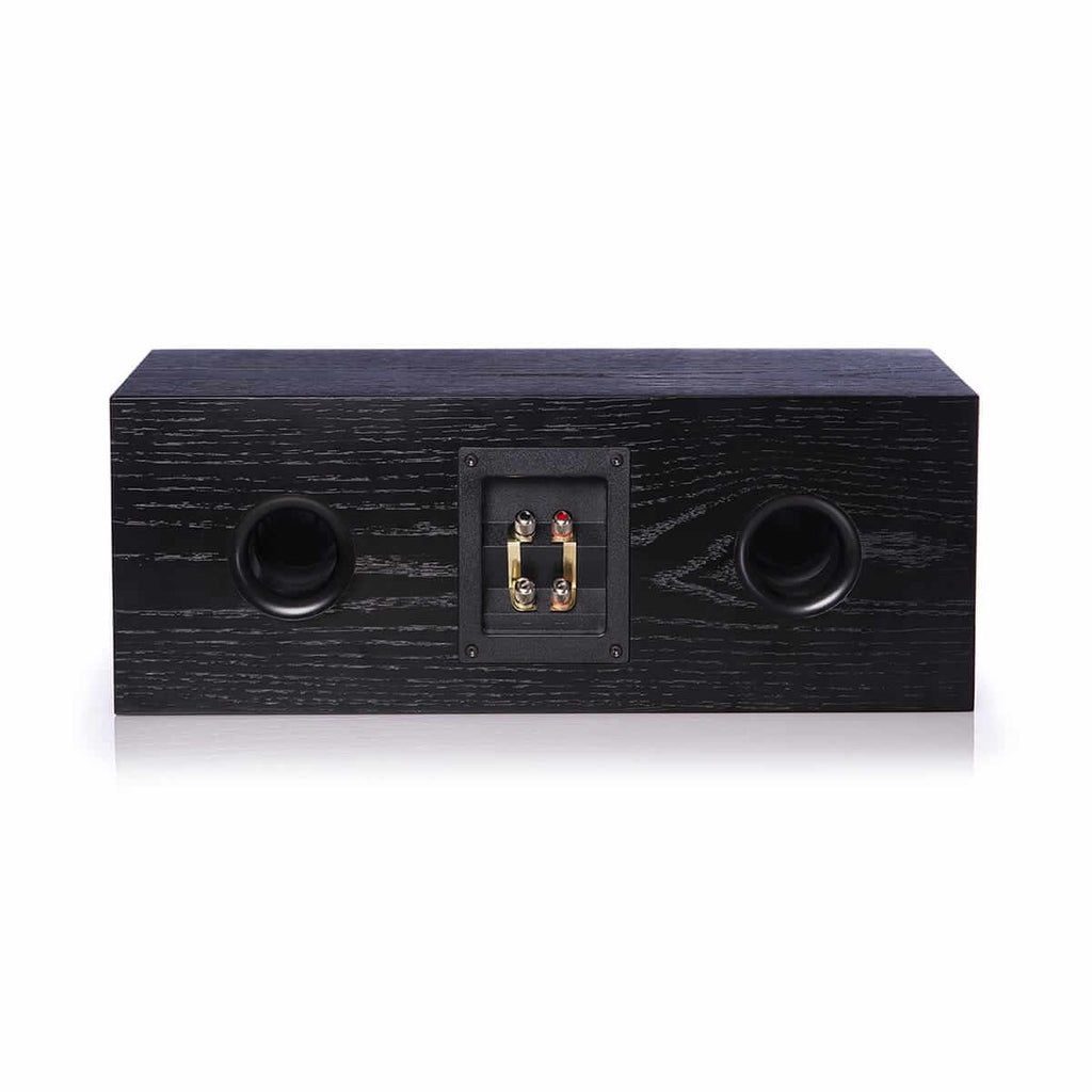 story center channel speaker back
