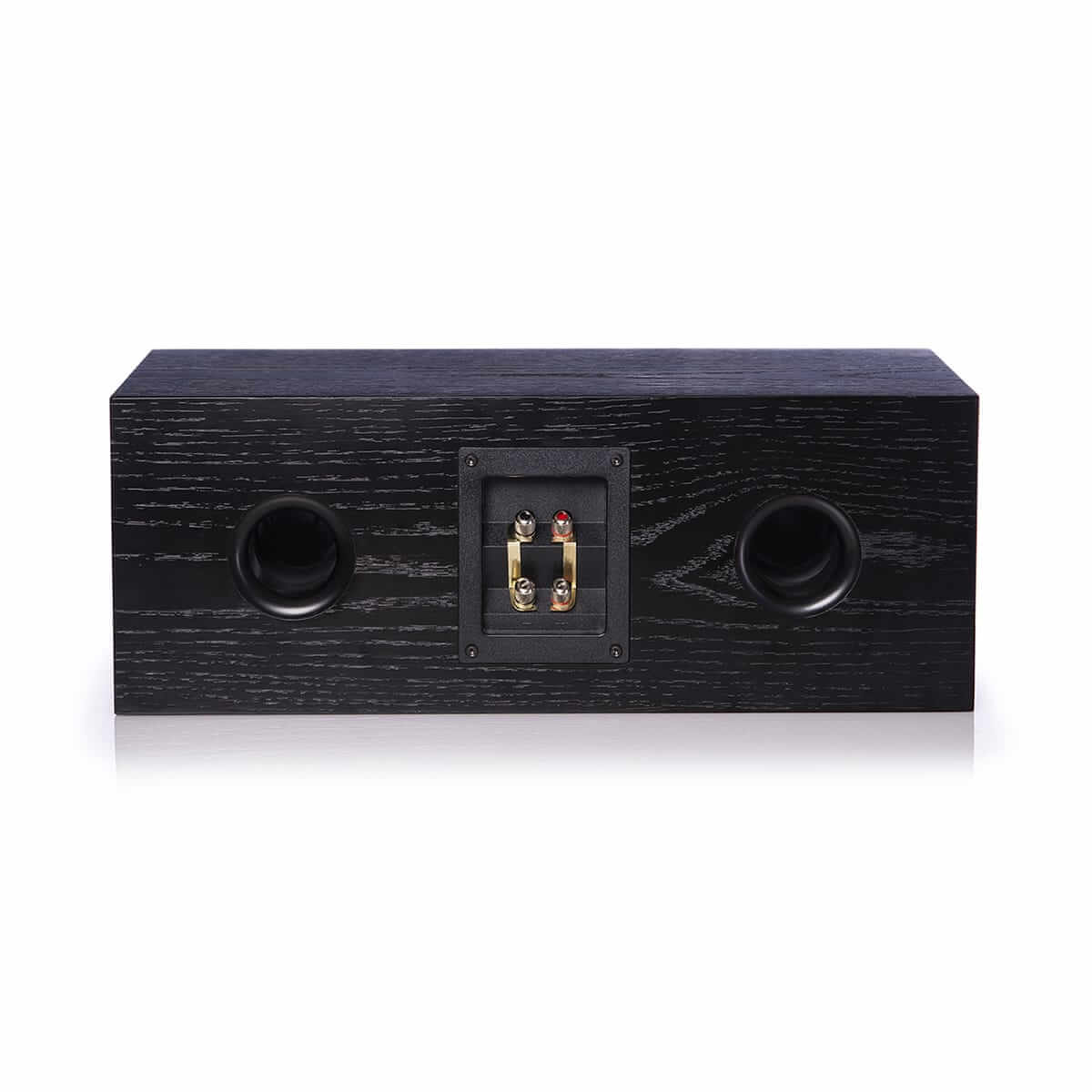 story center channel speaker back