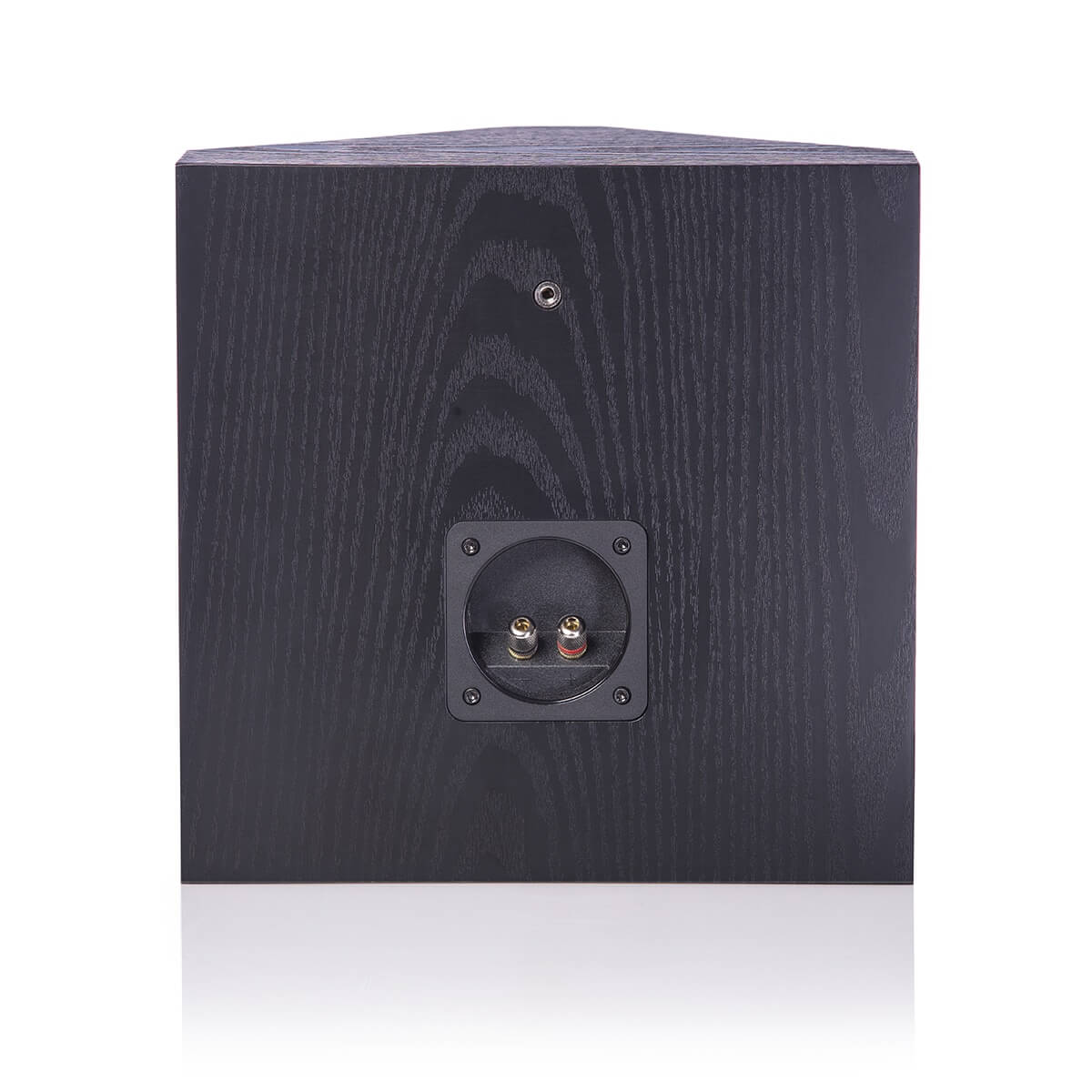 beacon surround speaker back