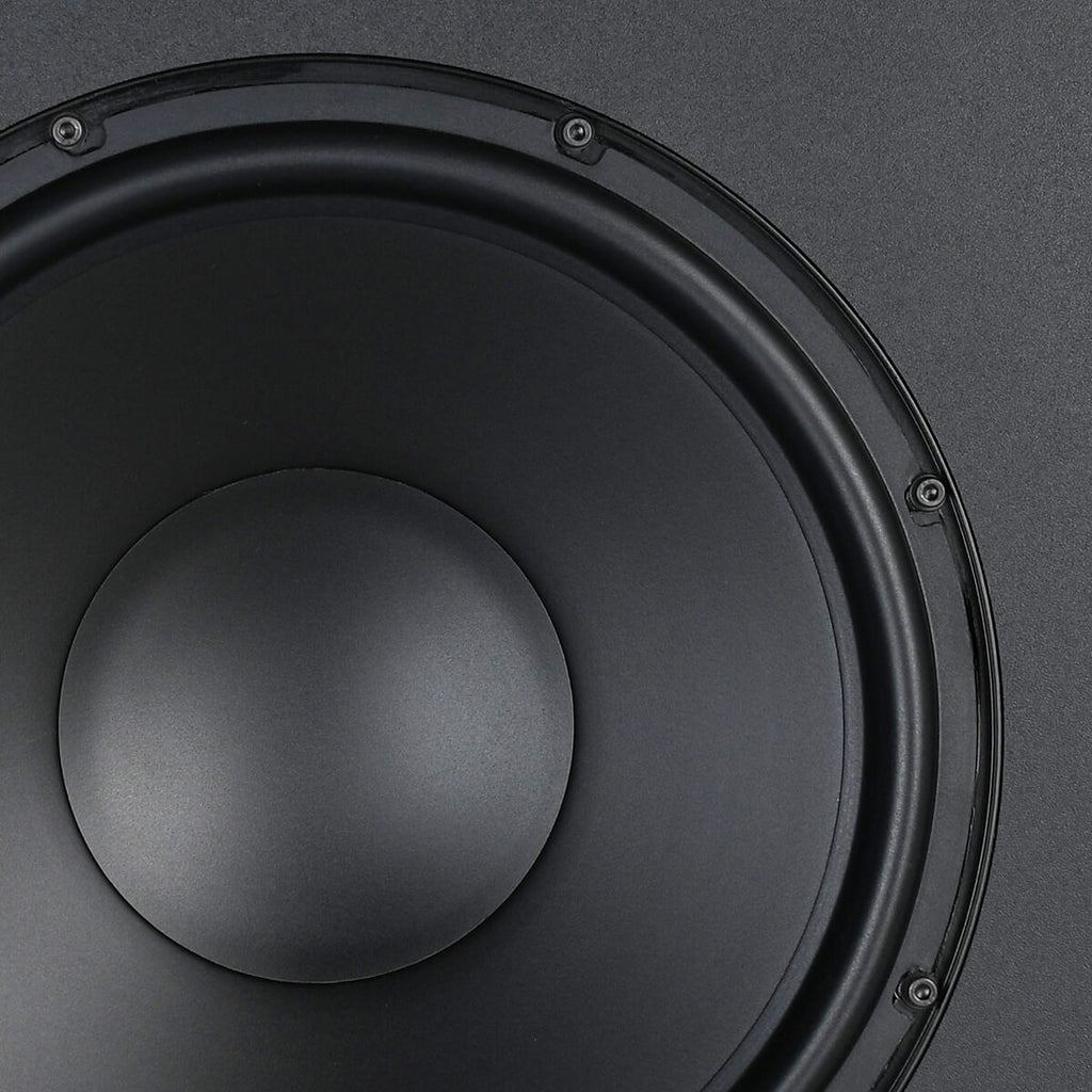 stratton woofer 10 inch
