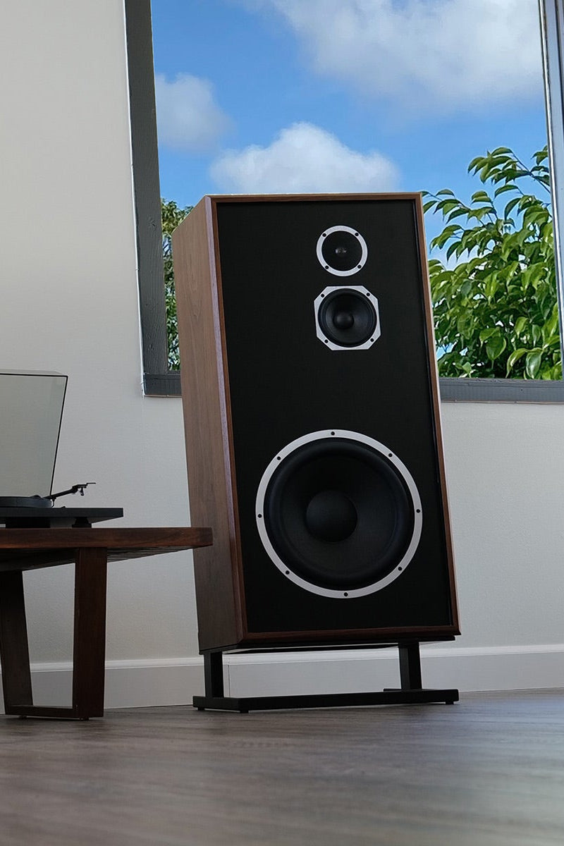 Home theater setup with speakers, TV, and decor in a room.
